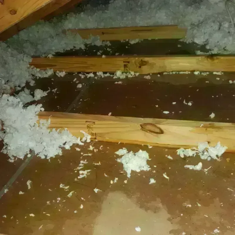 Attic Water Damage in South Sanford, ME